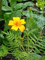 IMG_20240604_144432.webp