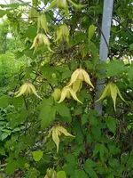 IMG_20240604_144835_1.webp