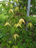 IMG_20240604_144835_1.jpg