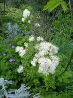 IMG_20240604_144938_1.webp