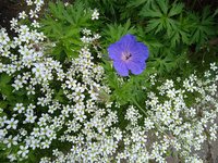 IMG_20240604_145121.jpg