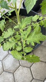 IMG_1506.jpg