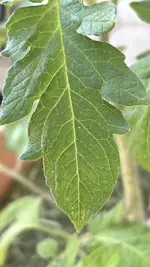 IMG_1505.jpg