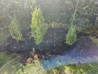 20240605_175631.jpg