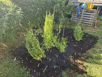 20240605_175648.jpg