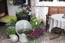 Juni         0424.JPG