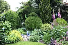 Juni         0724.webp