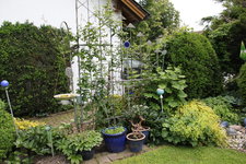 Juni         0824.JPG