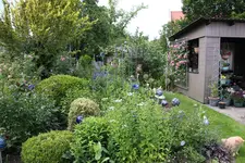 Juni         1024.webp