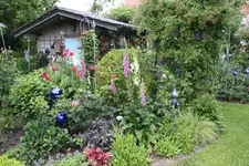 Juni         2124.webp