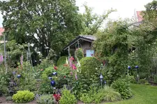 Juni         2324.webp