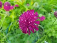 IMG_20240604_190119.webp