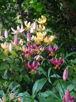 IMG_20240604_185813.jpg