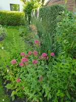 IMG_20240604_185545.webp