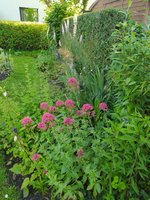 IMG_20240604_185545.jpg