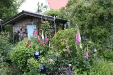 Juni         2524.webp