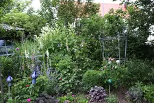 Juni         2924.webp