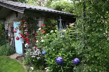 Juni         3024.webp