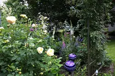 Juni         3324.webp