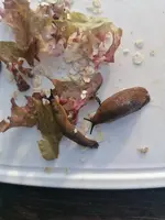Schnecken am 06.06 um 7.17 Uhr.webp