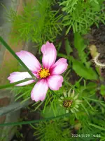 IMG_20240529_160348.webp