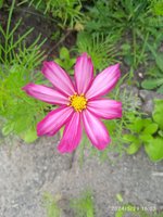 IMG_20240529_160329.jpg