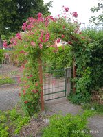 IMG_20240605_190809.jpg