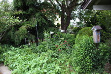 Juni         3824.JPG