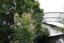 Juni         4324.JPG
