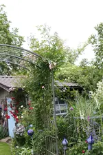 Juni         4424.webp