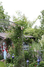 Juni         4424.JPG
