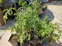 20240607_114511.webp