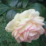 DSC_0850 (2).JPG DSC_0850 (2).JPG