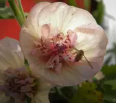 DSCN6307.webp DSCN6307.webp