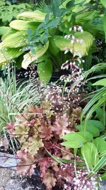 20240605_173311.webp