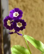 P1170307.webp P1170307.webp