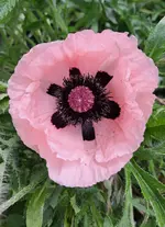 20240608_162735.webp 20240608_162735.webp