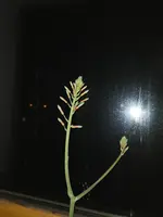 IMG_20240604_220541.webp