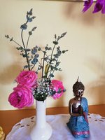 IMG_20240609_104111.jpg
