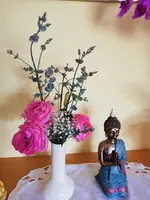 IMG_20240609_104111.webp