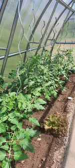 20240607_123040.webp