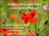 0605_04253_geburtstagskarte_garten.jpg