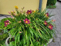 20240608_185406.webp