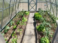 IMG-20230528-WA0001.webp
