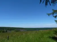 5AE5570B-04F8-4F80-8B63-8D1643051C86.jpeg