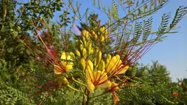 WP_20190627_07_30_14_Pro.jpg WP_20190627_07_30_14_Pro.jpg