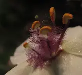 gegen-motten-5688b195-9ea9-4a10-a77c-055bc51d9a4c.webp gegen-motten-5688b195-9ea9-4a10-a77c-055bc51d9a4c.webp