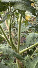 IMG_0216.jpeg