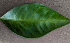 PXL_20240610_092208265~2.jpg