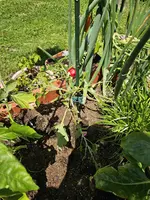 20240608_125345.jpg